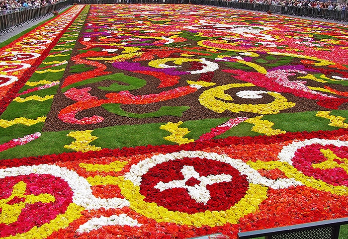 Brussels Biennial Flower Carpet | Brussels Floral Begonias Rug