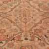 A picture from the center field of Antique Ivory Persian Sultanabad rug #50576 from Nazmiyal Antique Rugs in NYC