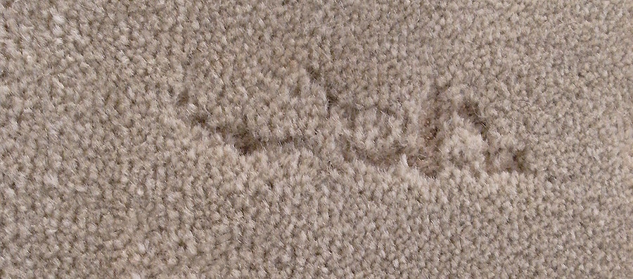 https://cdn.nazmiyalantiquerugs.com/wp-content/uploads/2019/07/moth-damage-carpet-track-left-by-moth-larvae-nazmiyal.jpg