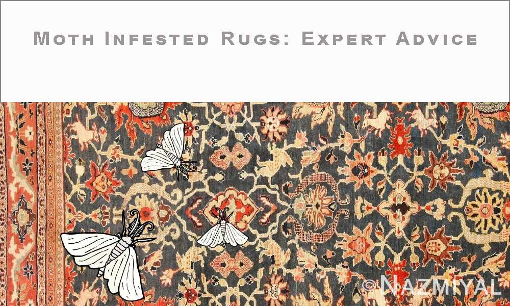 https://cdn.nazmiyalantiquerugs.com/wp-content/uploads/2019/07/watermark/moth-infested-rugs-carpets-nazmiyal-antique-rugs.jpg