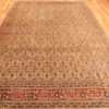 Whole View Of Antique Persian Tabriz Rug 70415 by Nazmiyal NYC