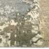 Border Of Decorative Nature Tones Modern Boutique Area Rug 60728 by Nazmiyal Antique Rugs