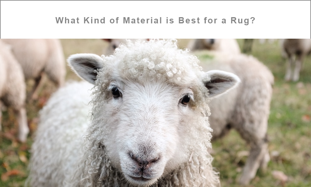 What Kind of Material is Best for a Rug?